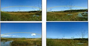 PDIC Foreclosed Agricultural - Vacant Lot: Lot 8790, Brgy. San Miguel, Bani, Pangasinan - For Negotiated Sale (Occupied)