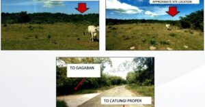 PDIC Foreclosed Agricultural - Vacant Lot: Lot No. 9662 (per TD) 9662-A (per tax map), Brgy. Catungi, Bolinao, Pangasinan - For Negotiated Sale