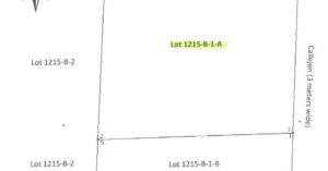 PDIC Foreclosed Agricultural - Vacant Lot: Lot No. 1215-B-1-A, Brgy. Langgangan, Balayan, Batangas - For Negotiated Sale