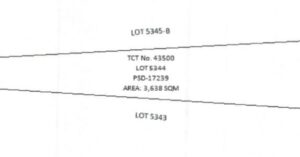 PDIC Foreclosed Agricultural - Vacant Lot: Lot No. 5344-B, Psd-17239, Brgy. Sta. Lucia, Gerona, Tarlac - For Negotiated Sale