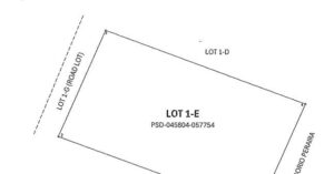 PDIC Foreclosed Agricultural - Vacant Lot: Lot 1-E Brgy. Mambog, Binangonan, Rizal - For Negotiated Sale