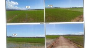 PDIC Foreclosed Agricultural - Vacant Lot: Lot No. 520, Pls 920-D, Brgy. Agpo, Lagonoy, Camarines Sur - For Negotiated Sale