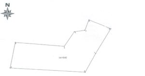 PDIC Foreclosed Agricultural - Vacant Lot: Lot No. 4142, Brgy. Paagan, Santol, La Union - For Negotiated Sale