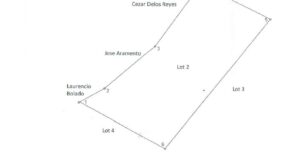 PDIC Foreclosed Agricultural - Vacant Lot: Lot No. 2, Psd-05-000504, Brgy. Cabugao, Ragay, Camarines Sur - For Negotiated Sale