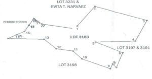 PDIC Foreclosed Agricultural - Vacant Lot: Lot No. 3183 pt., Brgy. Calalahan, San Jose, Camarines Sur - For Negotiated Sale