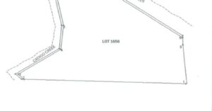PDIC Foreclosed Agricultural - Vacant Lot: Lot No. 1656, AC-1001-(HP-67877), Brgy. Sipaco, Lagonoy, Camarines Sur - For Negotiated Sale