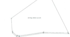 PDIC Foreclosed Agricultural - Vacant Lot: Lot 159, Case 1, Cad 783-D, Barangay Jubas, Libagon, Southern Leyte - For Negotiated Sale