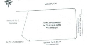 PDIC Foreclosed Residential - Vacant Lot: Lot 793-A, Brgy. San Isidro, Buenavista, Guimaras - For Negotiated Sale