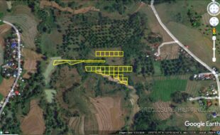 ALFUENTE CORAZON T 285052 1