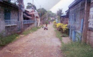 ALGO TOWERS DEVELOPMENT CORPORATION C 298201 1