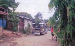 ALGO TOWERS DEVELOPMENT CORPORATION C 298296 3