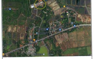 ALISON HERNANI T 27676 3