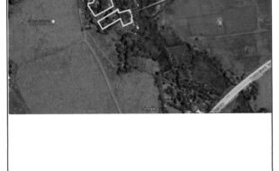 ANFONE LUISANGELA T 11877 5