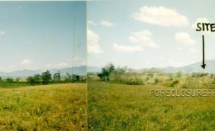 ANGKIG LEO T 43729 2