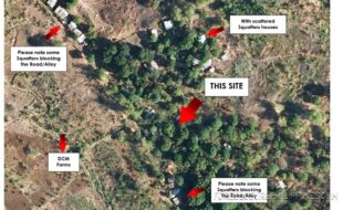 ASIA PILLAR ENT. INC. CEBALLOS CESAR NT 253246 1