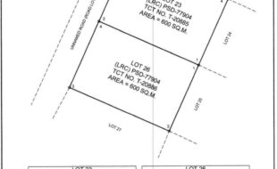 Adviento Lester T 20886 1