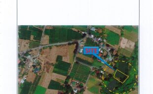 Agliam Jose T 15607 4