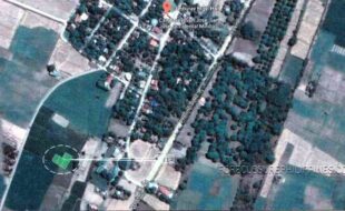 Almendras Ella T 19930 3