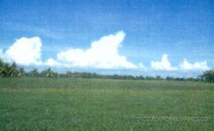 BANIQUED CIPRIANO F T 303826 2