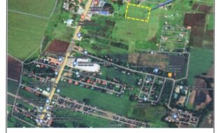 BENEDICTO JOSEHORACE FRIENDS T 187144 4