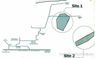 CABBAB ALFREDO T 34447 1