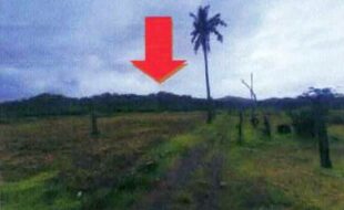 CABBAB ALFREDO T 34451 4