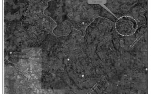 CARNO ENRIQUETA T 206244 3