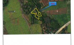 CAUSING EDMUNDOELY ANA T 26160 5