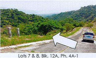 CORTES JESUSA FIL T 102473 1