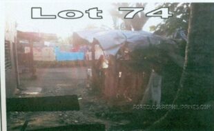 CRISOSTOMO PILAR NT 163808 3