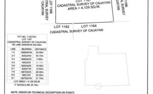 CUACHON TEDDYMONINAROGACIANO A T 207331 1