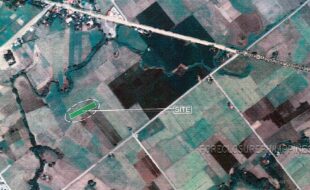 Cabrera Amado T 17071 1