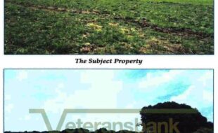 Cagampan Antonio Alegria 30583 2