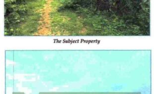 Chiong Nenita 19228 2