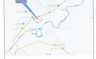 DE VENECIA EDUARDO T 12299 1