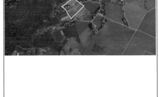 DIVINAGRACIA NAPOLEON T 15914 3