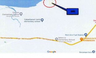 DOMINGO NICOLAS T 34436 4