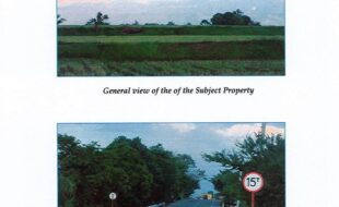 David Anacleta Edilberto N 31496 1