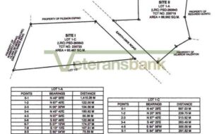 Dela Cruz Leoncio 235719 2