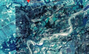 Dimaano Juanito T 17793 1