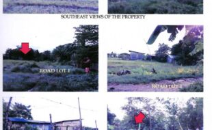 ELIZALDE VIRGINIA VDA DE M T 191346 1