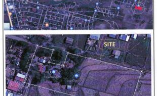 ELIZALDE VIRGINIA VDA DE M T 191352 2