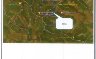 ENCARNACION MILLAN E T 174230 2