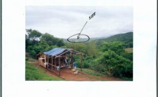 FERNANDO ROBERTO T 270050 2