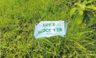 FIL ESTATE LAND INC. T 115152 056 2017006687 4