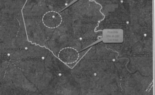 GABIOTA RENAN T 206246 3