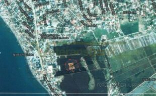 GALLENERO PEDRITO T 16912 1