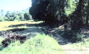 Galicha Benito T 20887 1