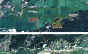 Galinato Ceferino T 16910 1