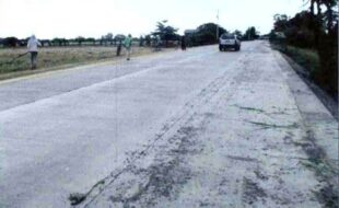 Ignacio Donato T 20825 1